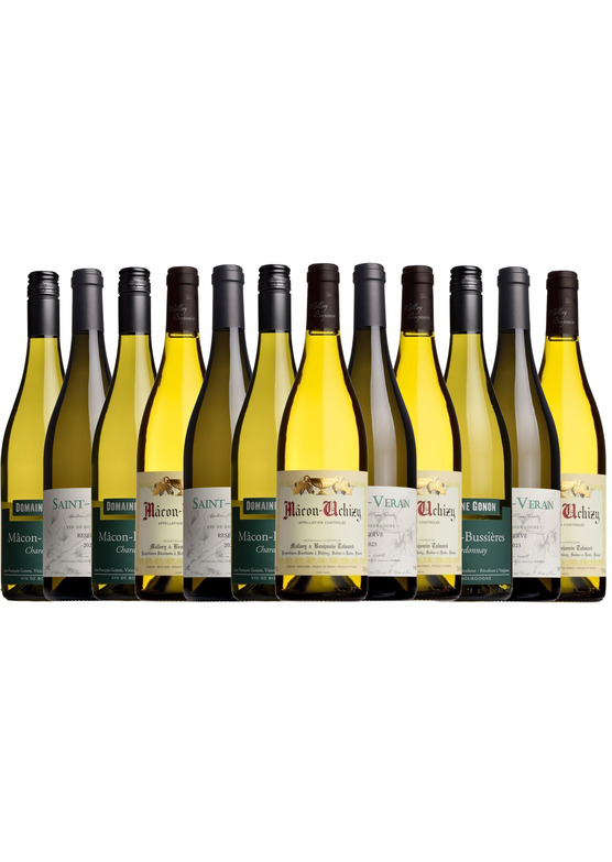 Superb White Burgundy Mixed Case