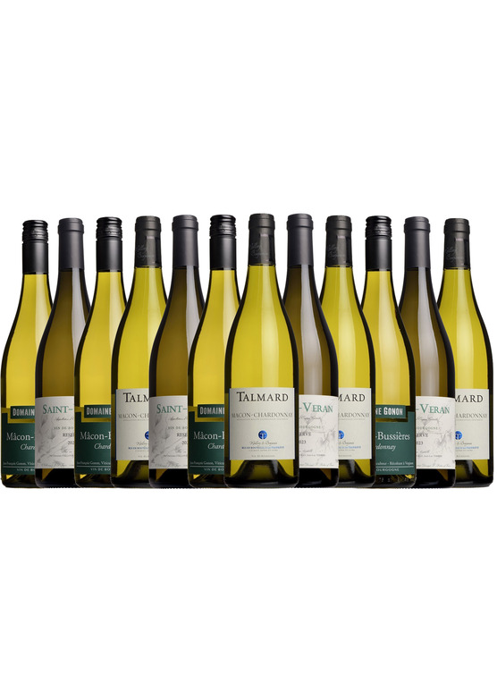 Superb White Burgundy Mixed Case