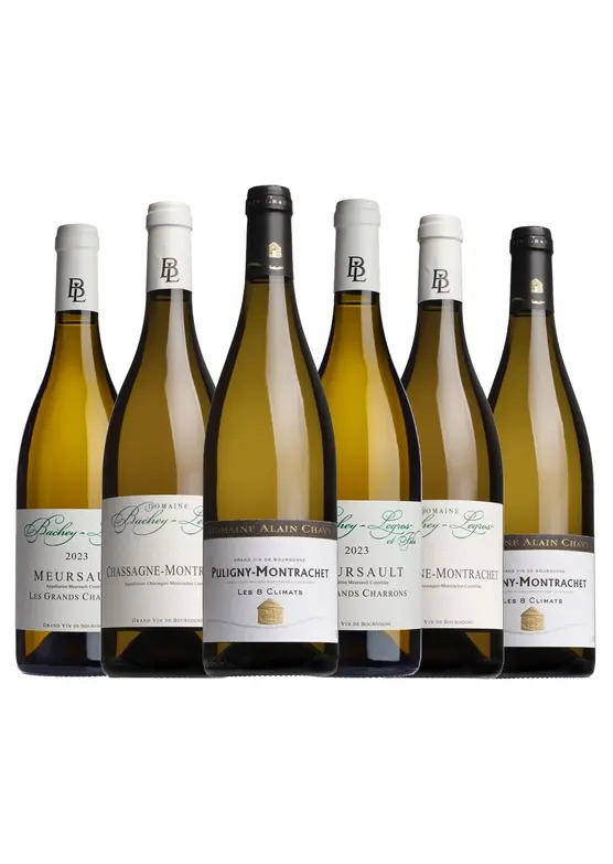 Iconic White Burgundy Mixed Case