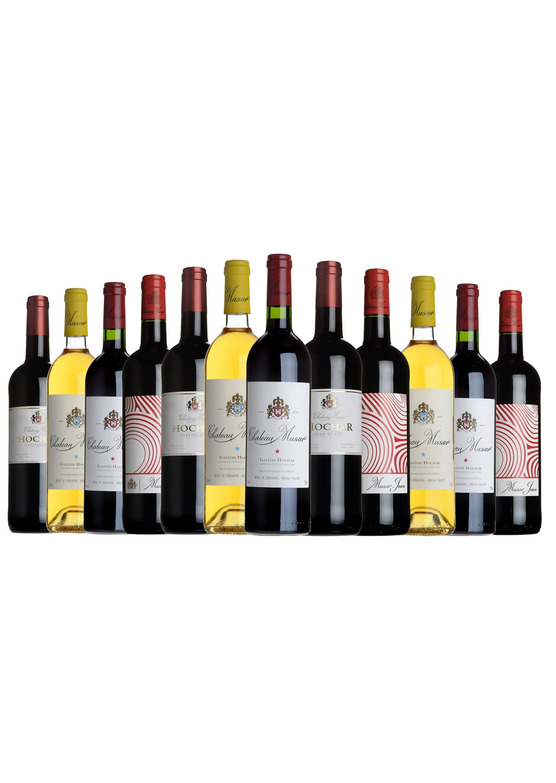 The Chateau Musar Experience Case