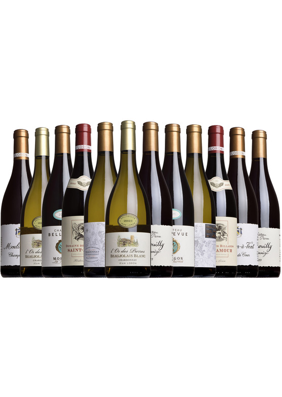 The Spectator Loron Mixed Case