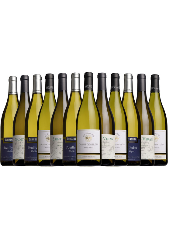 Fine White Burgundy Mixed Case