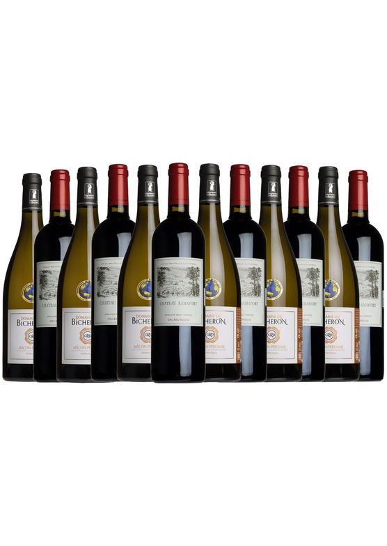 Claret and White Burgundy Festive Case