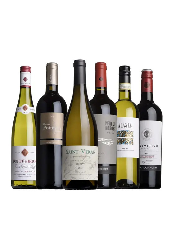 Dinner Party Mixed Case