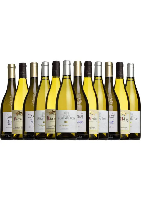 Christmas Entertaining White Case