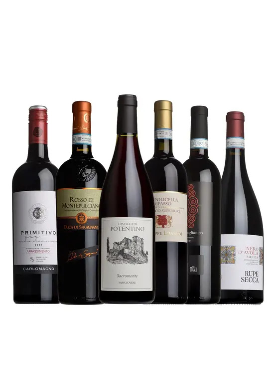 The Italian Taster Case 
