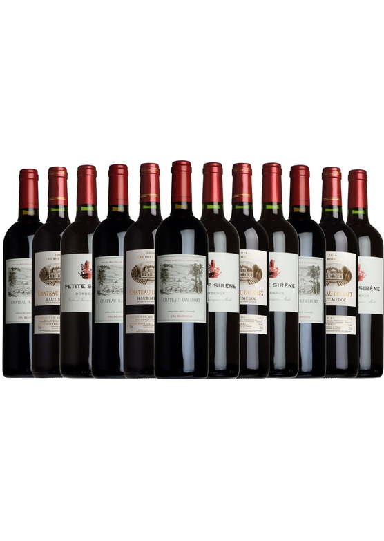Best of Bordeaux Taster Case