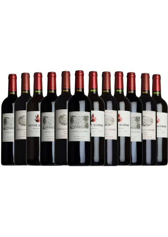 Best of Bordeaux Taster Case