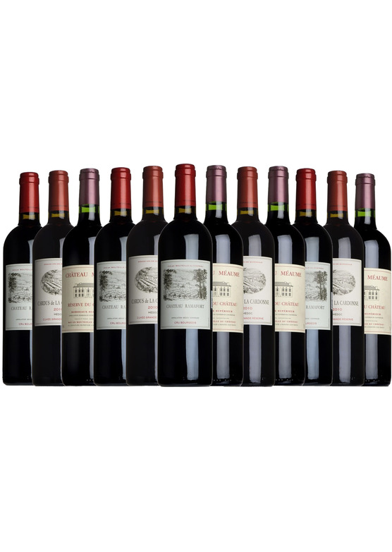 Best of Bordeaux Taster Case