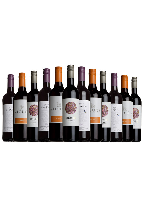 Malbec Mixed Wine Case