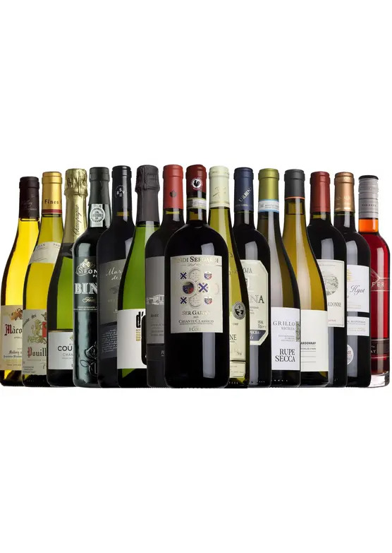 Christmas All Wrapped Up Case