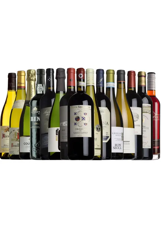 Christmas All Wrapped Up Case