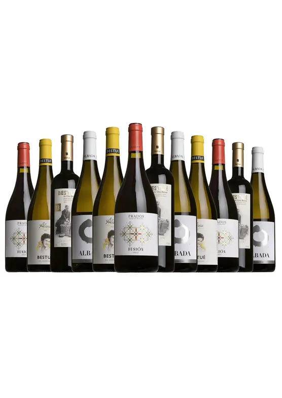 The Spanish Spectator Mixed Case