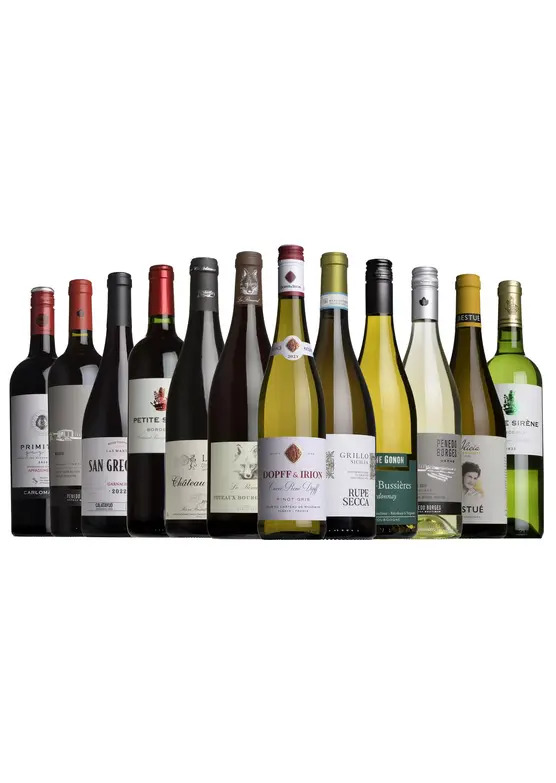 The Summer Mixed Case