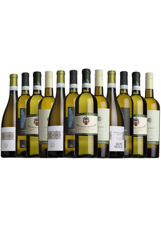 Italian White Mixed Case