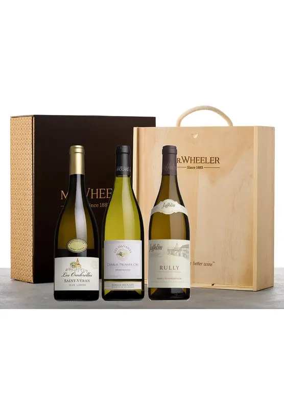 Fine White Burgundy Gift Box 