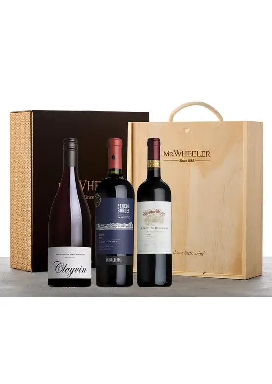 New World Icons Gift Box 