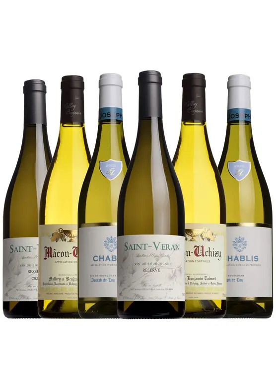 Fine White Burgundy Mixed Case