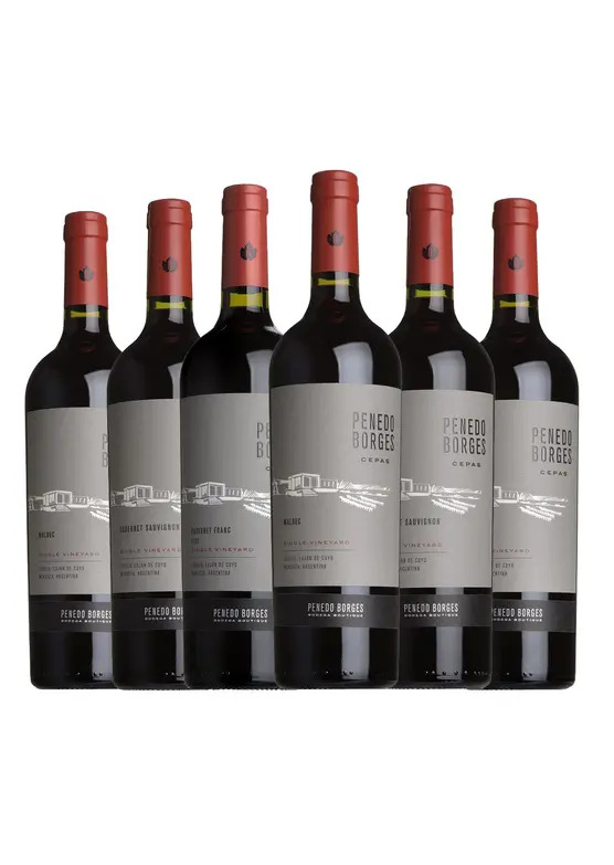 Penedo Borges Mendoza Mixed Case