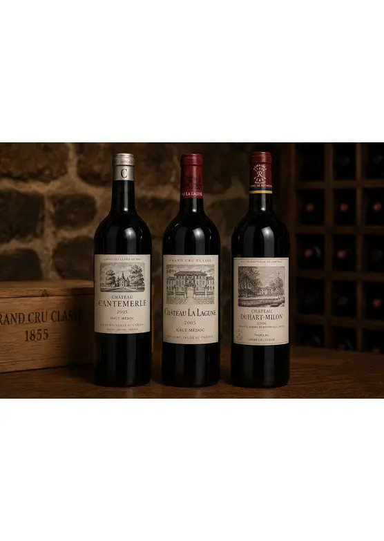 Bordeaux Collector's Case