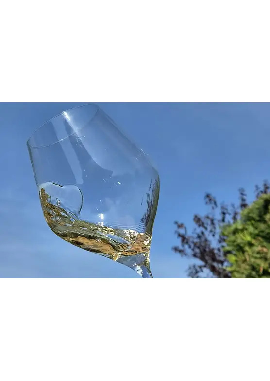2023 Pouilly Fuissé 1er Cru Sur La Roche, Deux Roches, Famille Collovray & Terrier