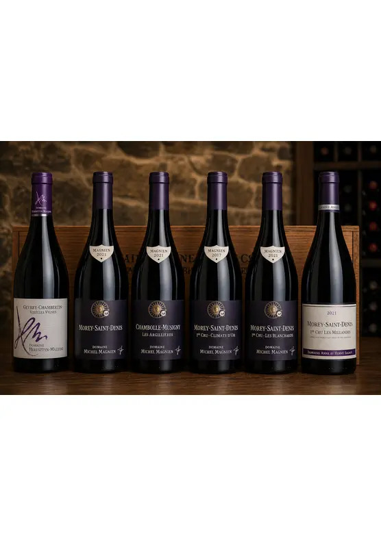 Cote de Nuits Discovery Case 