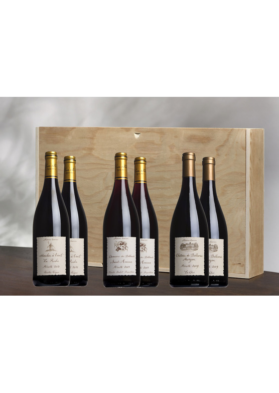 Mature Vintage Beaujolais Mixed Case