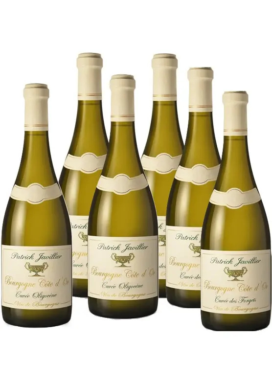 Patrick Javillier Mixed Case