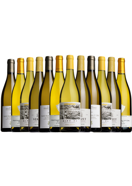 MoneyWeek White Burgundy Case