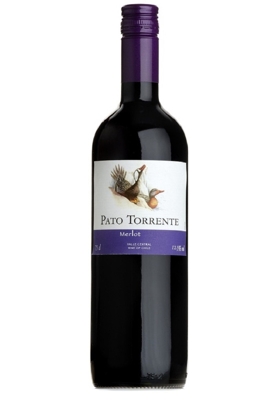 2024 Merlot, Pato Torrente, Central Valley