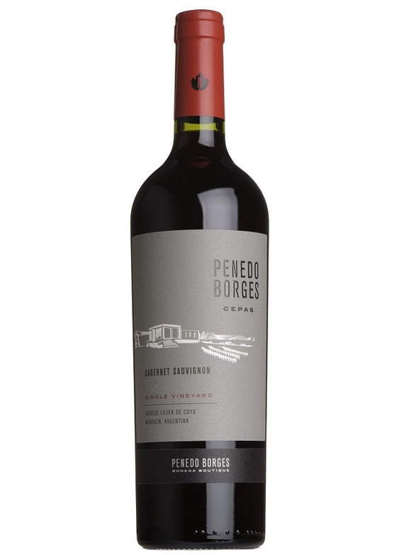 2021 Cepas Single Vineyard Cabernet Sauvignon, Penedo Borges, Mendoza