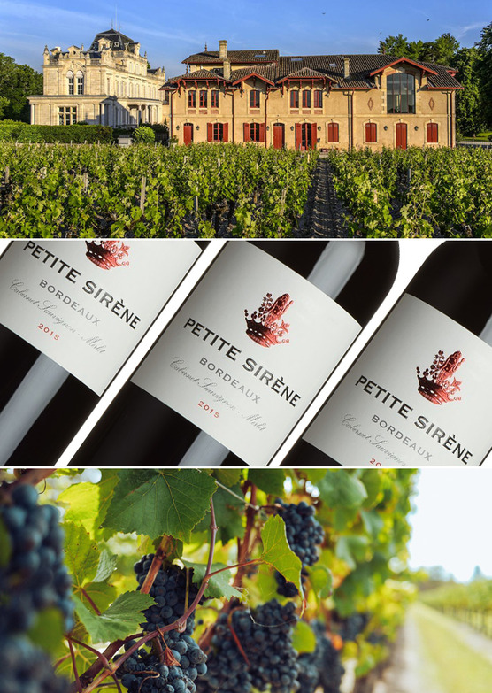 Petite Sirene De Chateau Giscours Bordeaux 15 Fromvineyardsdirect