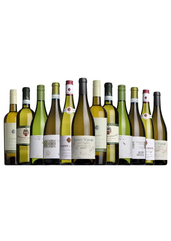 The Spectator Summer Discovery Mixed Case