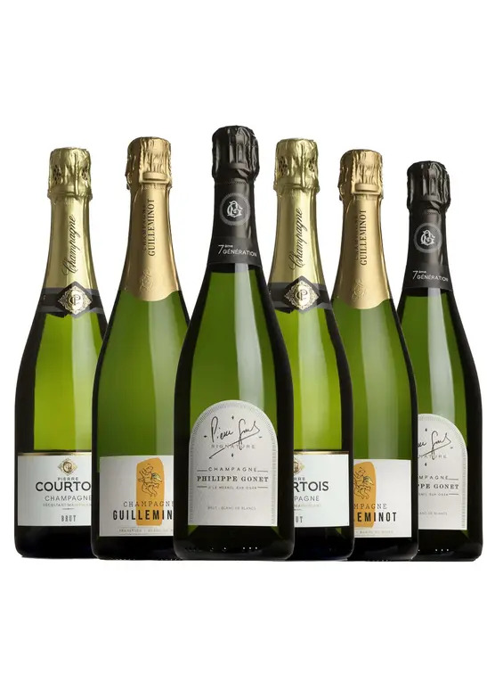 Spring Sale Fizz Case