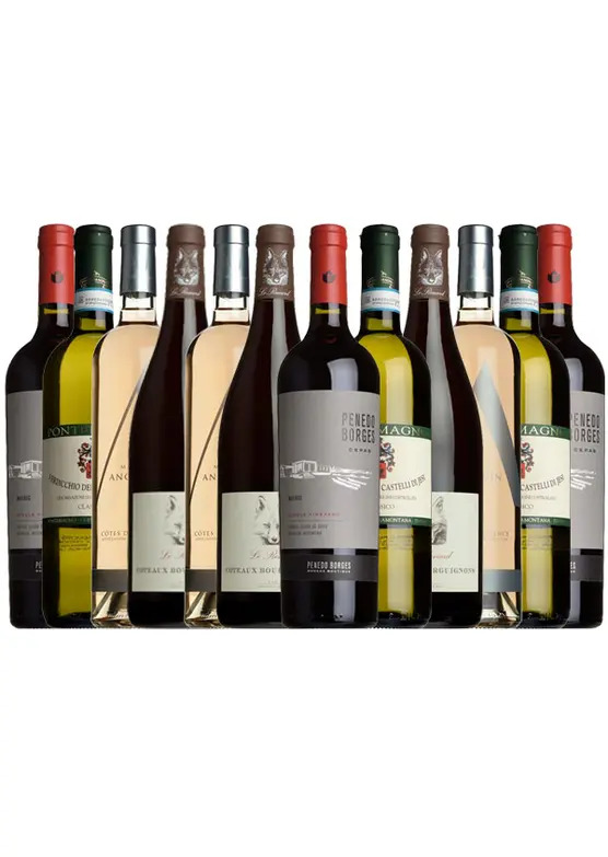 Mr.Wheeler Staff Summer Picks Mixed Case