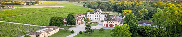 Petite Sirène One-Day Offer