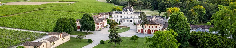 Petite Sirène One-Day Offer