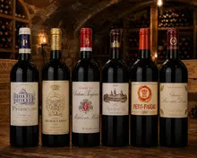 Bordeaux vintage experience