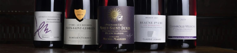 Red Burgundy 2021 Vintage Offer
