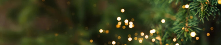 Finest Festive Picks