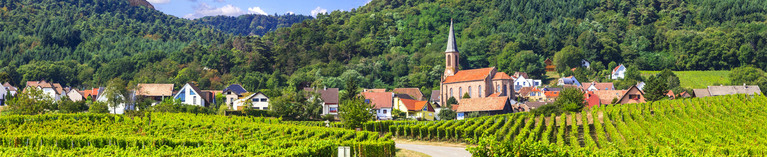 Alsace Dopff & Irion Wines