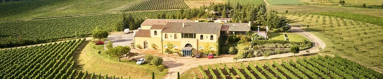Domaine Gayda Special Offer