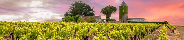 Best-sellers of the Year