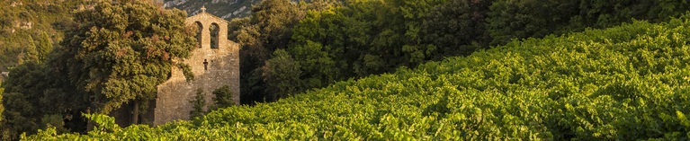 Everyday Wines for £9.95 from Languedoc