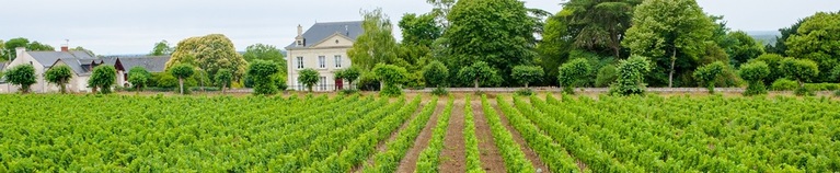 Tour of France Spectator Offer