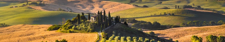 Bindi Sergardi Wines