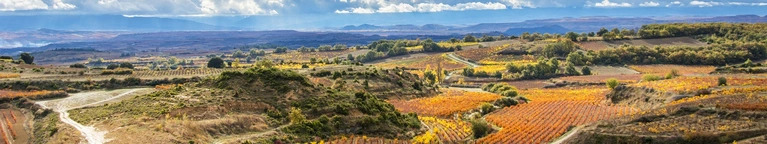 Bodegas Urbina Spectator Offer