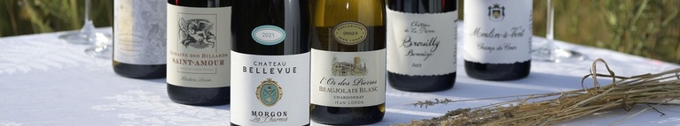 Maison Loron Spectator Offer