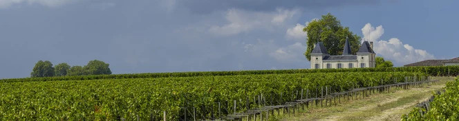 Margaux Wine