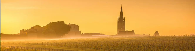 Mature Bordeaux Wine